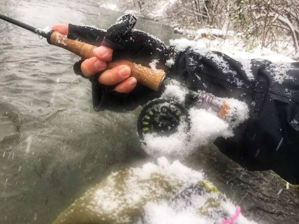 Snow day!